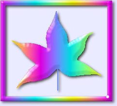 Rainbow-hued sweetgum leaf