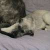 Chewing on Dad