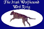 Irish Wolfhound Web Ring