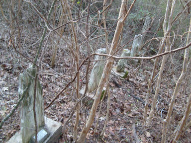 Ross cemetery stones, Rusk County, Texas