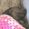 It was January but he was warm and toasty.
