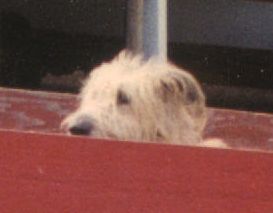 Look at that face... Look at that face...