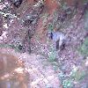 Down in
George's Gorge