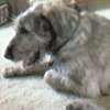 Getting tired