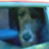 Goin to the creek!