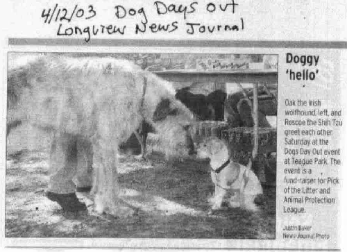 news article