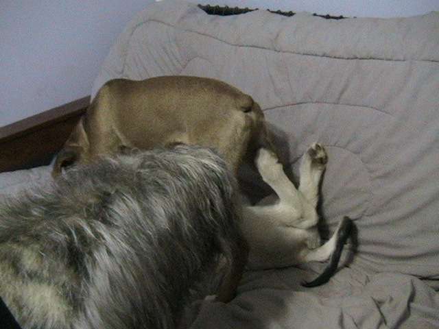 Dad says That's enough! Dad says That's enough!