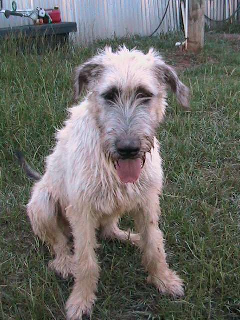 A wet, dirty girl! A wet, dirty girl!