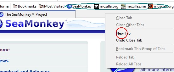 setup seamonkey