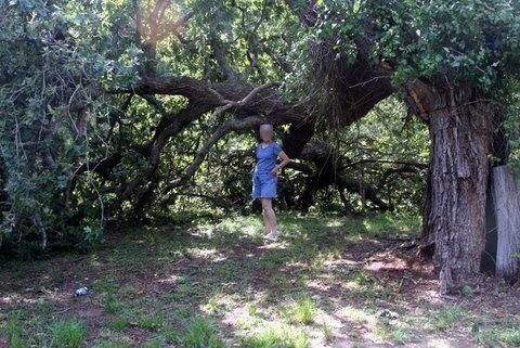 Ross Cemetery Gate, Rusk County, Texas